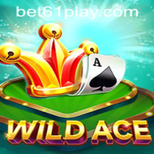 Discover WildAce: A Dynamic Gaming Experience